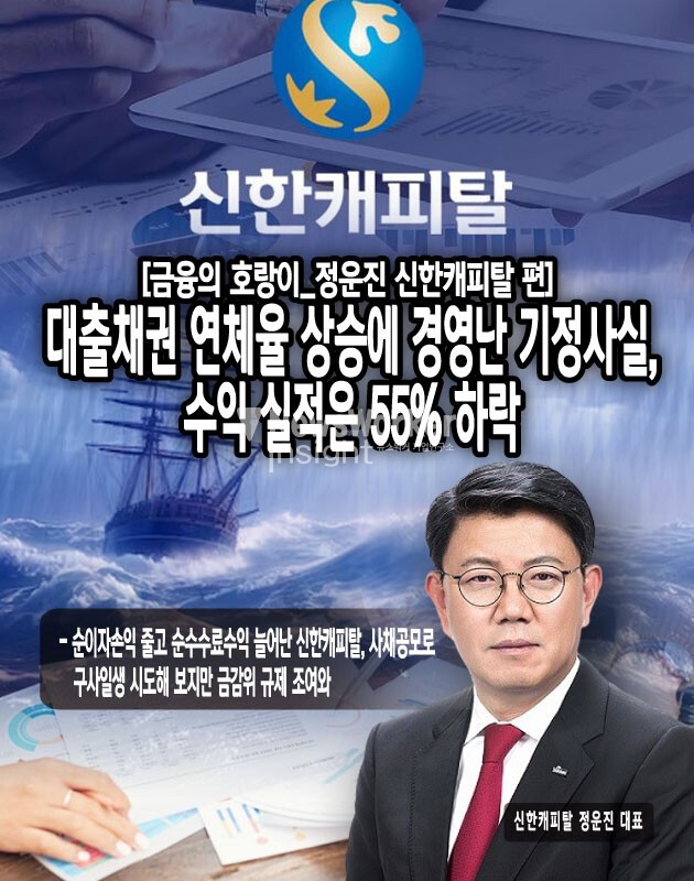 캐피탈사의 부실 채권 누적액은 올해 상반기에만 4조 원을 돌파했다. 부채 안정을 꾀하는 정부의 강력한 대출 규제는 신한캐피탈의 실적 개선과 사뭇 다른 방향을 향했다. DSR,DTI,LTV 등 대출 조건의 문턱을 높이면서 기업과 서민의 신용도 효력을 낮춰 대출을 통한 수익 통로를 좁히는 역효과를 냈다. 최근 높은 신용도에도 불구하고 대출 발행이 어려우며, 비교적 신용도에 큰 영향 없이 지급되던 자동차 담보 대출마저 막혔다...[본문 중에서]