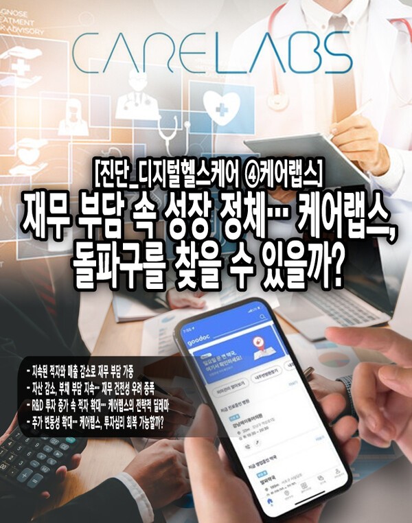 향후 비용 구조 개선 및 신규 수익 모델 확보 없이는 지속적인 성장 전략을 유지하기 어려울 가능성이 높다. 이러한 재무적 어려움을 극복하기 위해서는 사업 포트폴리오 재조정과 더불어 운영 효율성 개선이 시급한 상황이다. [본문 중에서]